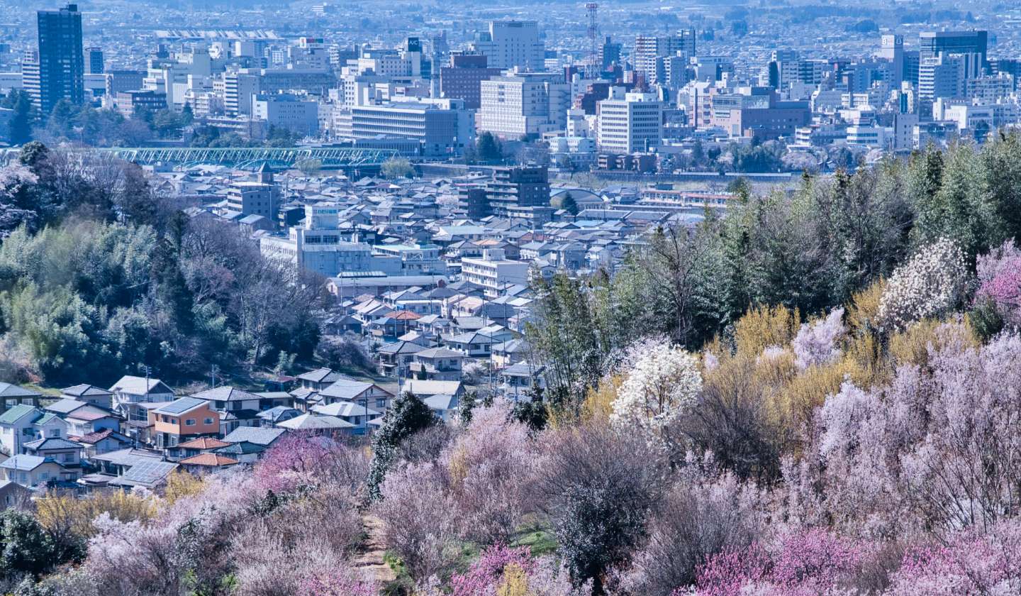 飯坂ホテルジュラク
